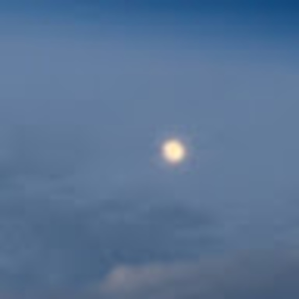 Meet your Posher, Eleanor